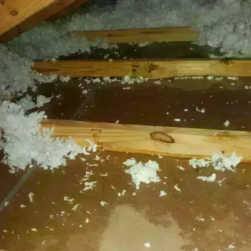 Attic Water Damage in Saint Landry Parish, LA